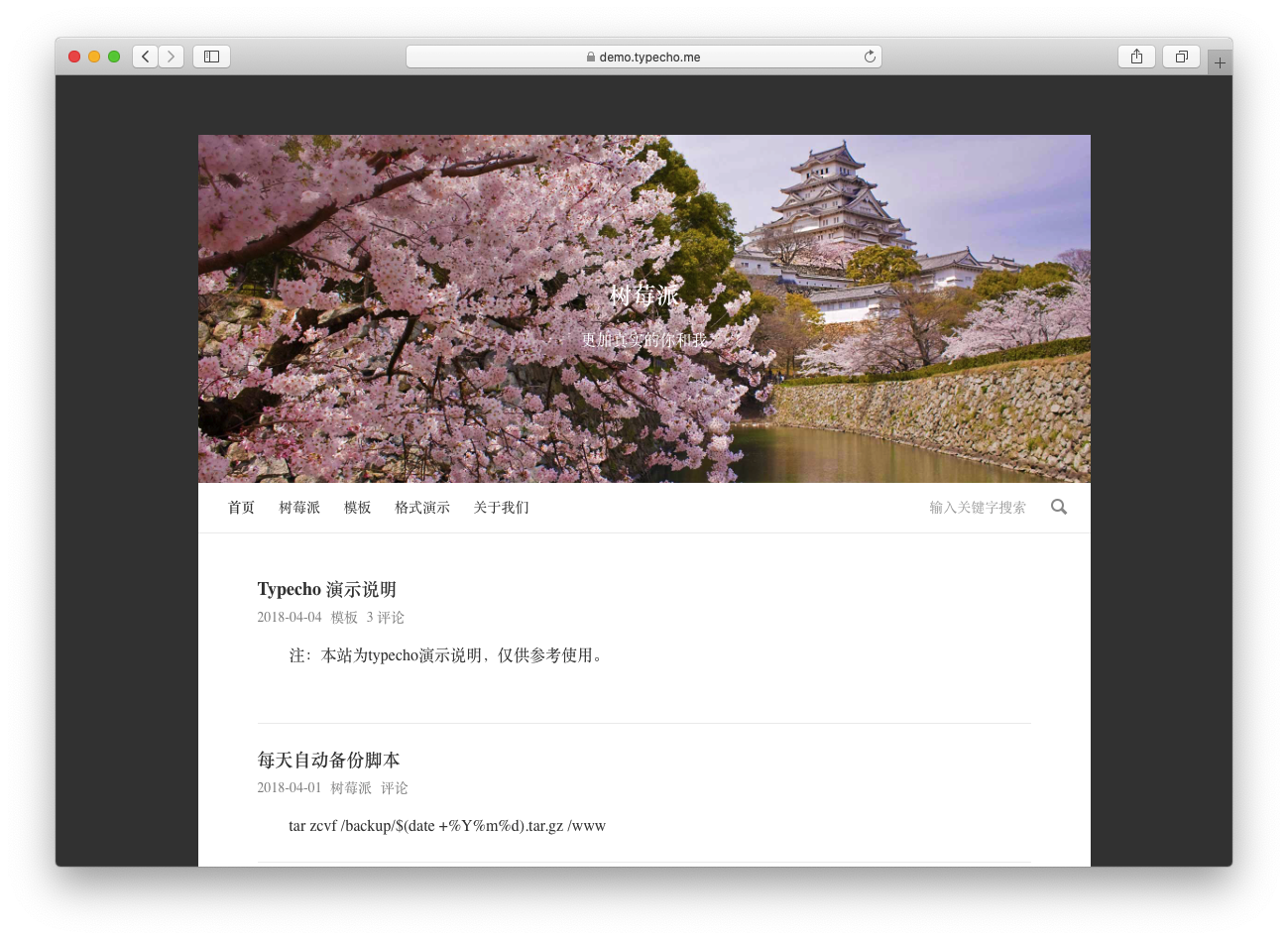 单栏日志模板——TY0086